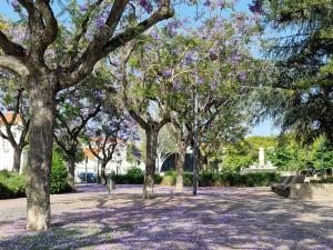 Zahrada ubytování Private Room in city center + 9 fotografií