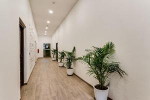 Fotografie z fotogalerie ubytování Super Townhouse Gandhi Hall v destinaci Indaur