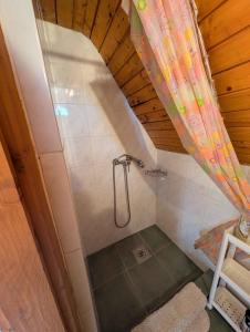 a bathroom with a shower in a attic at Holiday home in Zamardi - Balaton 53551 in Zamárdi