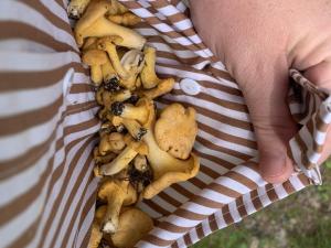 Φωτογραφία από το άλμπουμ του 5 person holiday home in FLISBY σε Ägersryd