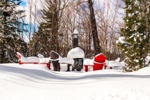 Fiddler Lake Resort Chalet 84 Deer v zimě