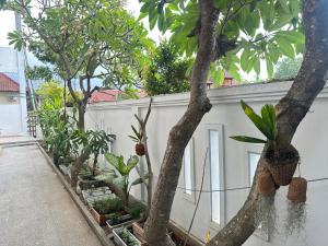 Zahrada ubytování Little White Pavilion