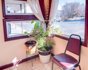 a window with plants and a chair in front of it at Econo Lodge Galax in Galax
