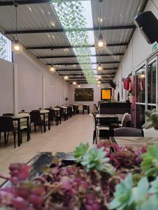 a dining room with tables and chairs and lights at Hotel Iraca in Aquitania