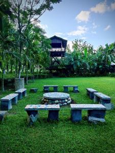Zahrada ubytování Sapoi Tea Farms 1914, Heritage Homestay