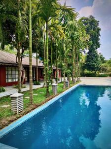 Bazén v ubytování Sapoi Tea Farms 1914, Heritage Homestay nebo v jeho okolí