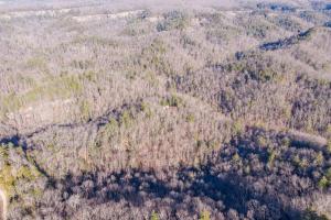 an overhead view of a forest with trees at Hot Tub - Mill Creek Point - Red River Gorge KY in Rogers +61 photos