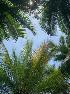 Fotografie z fotogalerie ubytování Bến Tre Homestay v destinaci Ben Tre + 56 fotografií