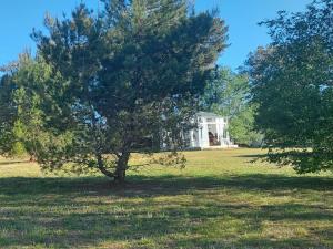 een boom in een veld met een huis op de achtergrond bij Bosquemolinos in Villa Los Molinos