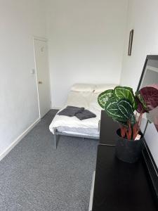 Una cama o camas en una habitación de Woodland Terrace 5 fotos más