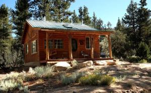 una cabaña de troncos en el bosque con árboles en Romantic Log Cabin in the San Bernardino National Forest of California, en Angelus Oaks