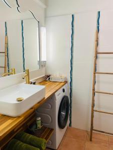 a bathroom with a washing machine and a sink at Studio Ti Zandoli in Sainte-Anne +9 photos