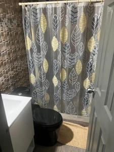 a bathroom with a shower curtain with a toilet at Arisbeth V in Panama City