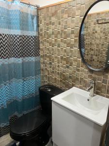 a bathroom with a toilet and a sink and a mirror at Arisbeth V in Panama City