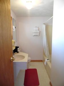 a bathroom with a sink and a toilet and a tub at Redclyffe Shore Motor Inn in Robbinston