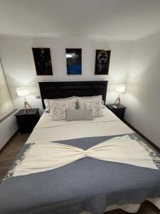 a bedroom with a large white bed with two lamps at Lujo y confort en el corazón de Santiago in Santiago