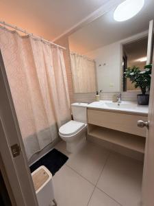 a bathroom with a toilet and a sink and a mirror at Lujo y confort en el corazón de Santiago in Santiago