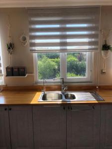 een keuken met een spoelbak en een raam bij forest villa, 6 minutes from the airport in Taşoluk