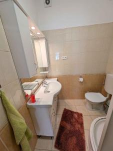 ein Badezimmer mit Waschbecken, Toilette und Spiegel in der Unterkunft Apartment in Zamardi - Balaton 20318 in Zamárdi