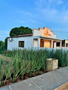 a white building with a tree on top of it at Chalé Caroá in São Raimundo Nonato +4 photos