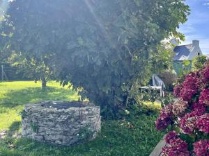 a stone stump in a yard with a tree and flowers at Charmante maison à Groix proche du port - FR-1-813-35 in Kerlo
