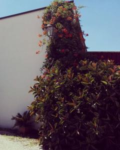 Fotografie z fotogalerie ubytování Nenna Country v destinaci Capua