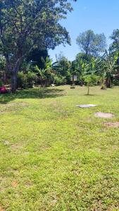 um campo de relva verde com árvores ao fundo em Residencia Sánchez em David