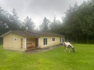a horse grazing in front of a house at Casa Nueva Holanda in Las Vigas +9 photos