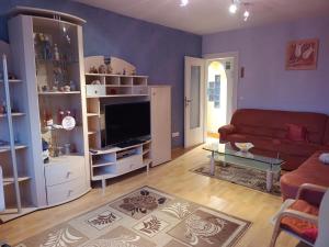 Posezení v ubytování Classic Apartment