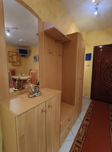 Kuchyň nebo kuchyňský kout v ubytování Classic Apartment + 3 fotografie