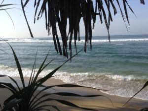 a view of the beach from under a palm tree at The Clouds Ahangama in Ahangama