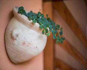 Fotografie z fotogalerie ubytování Apartments in Vrbnik - Insel Krk 13597 ve Vrbniku