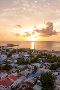 Příroda nedaleko hotelu