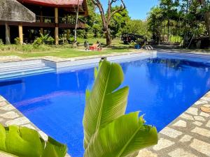 a blue swimming pool with a plant in the foreground at RiverCoves Resorts in Bulakan
