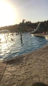 eine Gruppe von Menschen, die in einem Schwimmbecken schwimmen in der Unterkunft قريه مرسيليا بلوباي السخنه --للعائلات فقط-Marseilia Blue Bay Ain Sokhna Village-- families only-- in Ain Suchna
