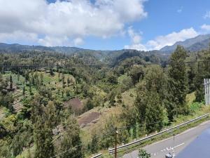 Fotografie z fotogalerie ubytování Pulmo Guesthouse Bromo v destinaci Ngadisari