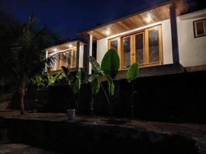 a house at night with a bunch of plants in front at Sonnenhouse Lombok Kertaraharja in Luk