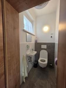 un baño con inodoro y lavabo en Ferienhaus Helene, en Güttenbach 2 fotos más