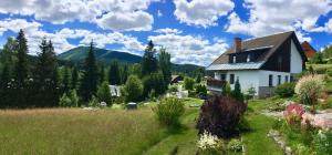 a house on a hill with a field and trees at Apartments in Harrachov - Riesengebirge 2300 in Harrachov
