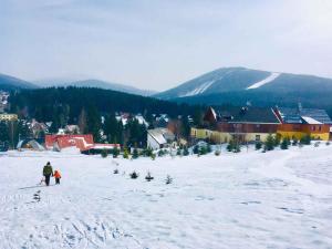 a man and a child walking in the snow at Apartments in Harrachov - Riesengebirge 2300 in Harrachov +9 photos