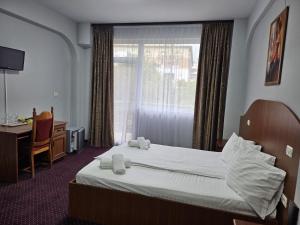 Billede fra billedgalleriet på Hotel Ambasador i Focşani