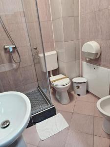 フォクシャニにあるHotel Ambasadorのシャワー、トイレ、洗面台を備えたバスルーム