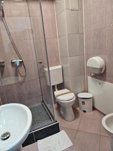 フォクシャニにあるHotel Ambasadorのシャワー、トイレ、洗面台を備えたバスルーム