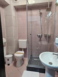 Billede fra billedgalleriet på Hotel Ambasador i Focşani