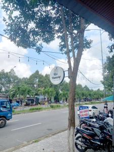 a group of motorcycles parked next to a tree at Mai homestay in Mỹ Lại (5)