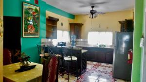 ベリーズシティにあるSee Belize WATERSIDE Sea View Apt for 6 with Kitchen, Balcony, Infinity POOL & Overwater Deck, 2nd Floorの緑の壁のキッチン(テーブル、冷蔵庫付)