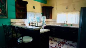 ベリーズシティにあるSee Belize WATERSIDE Sea View Apt for 6 with Kitchen, Balcony, Infinity POOL & Overwater Deck, 2nd Floorのシンクとコンロのあるキッチン