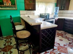 ベリーズシティにあるSee Belize WATERSIDE Sea View Apt for 6 with Kitchen, Balcony, Infinity POOL & Overwater Deck, 2nd Floorのキッチン(カウンター、コンロ付) トップオーブン +71枚の写真