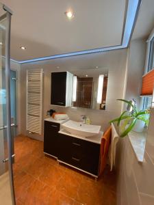 a bathroom with a sink and a large mirror at Ferienwohnung Schreiter in Arnsfeld