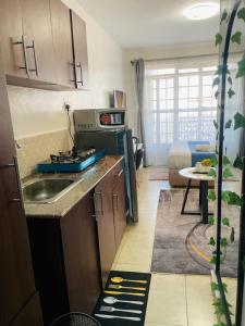 a kitchen with a stove and a sink in a room at Habun Homes in Ruaka